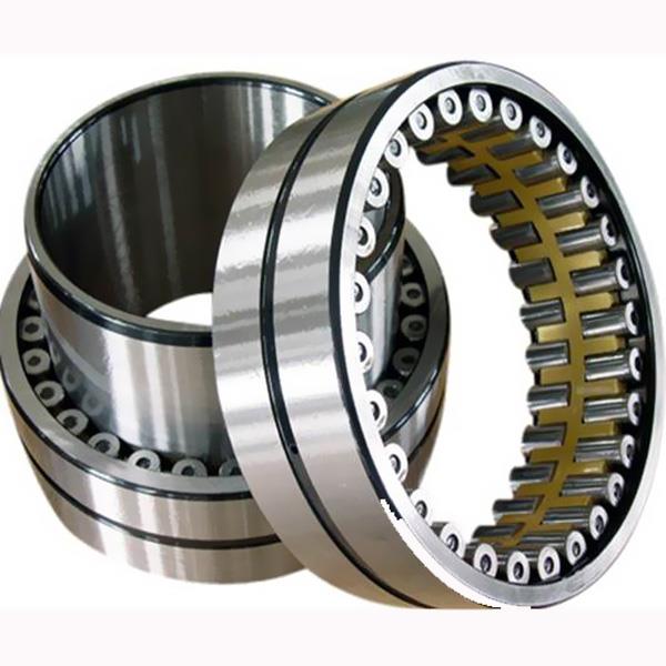 Cylindrical roller bearings F-576869.ZL  bearing