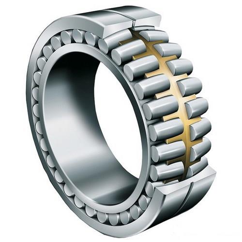 roller bearings F-576869.ZL