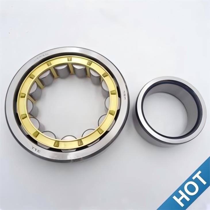 Available NU19/560-M1A-C3 Single-Row Cylindrical Roller Bearings factory