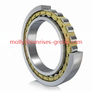Available NU19/560-M1A-C3 Single-Row Cylindrical Roller Bearings